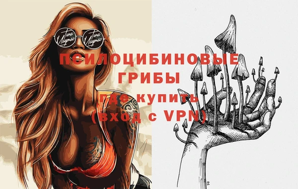 твердый Горнозаводск