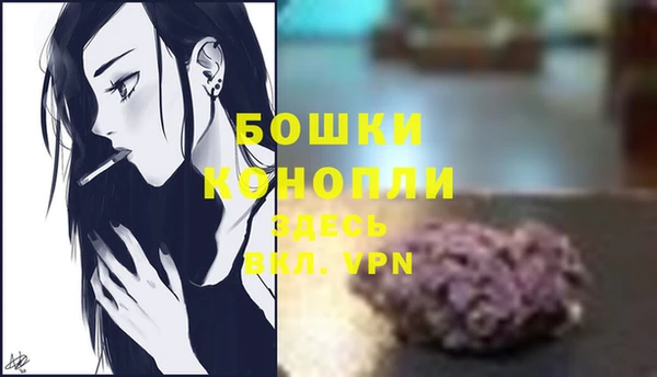 твердый Горнозаводск